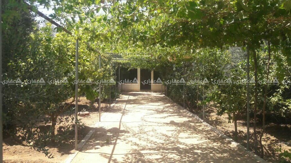 أرض مقابل سوبر ماركه الامه مباشره للبيع