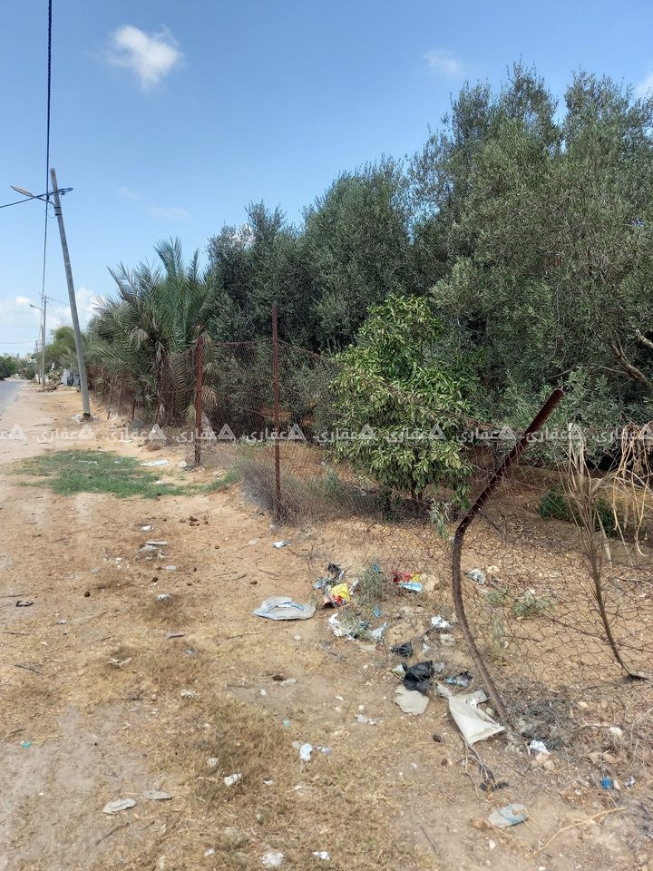 قطعة أرض للبيع مشجره وبها غرفه مع بير مياه