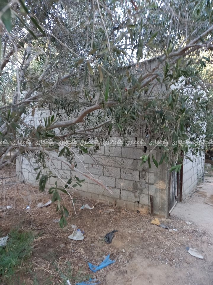 قطعة أرض للبيع مشجره وبها غرفه مع بير مياه