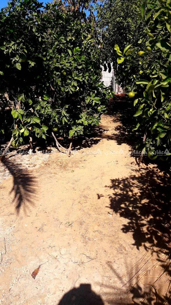 أرض للبيع غرب حدائق خانيونس الاقليمية