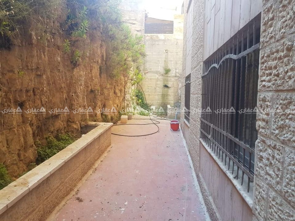 شقة فارغة للإيجار 