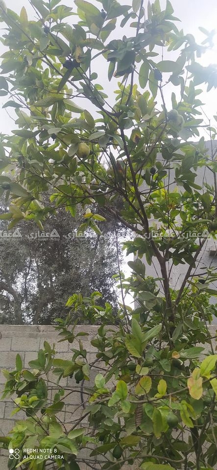 قطعه أرض للبيع