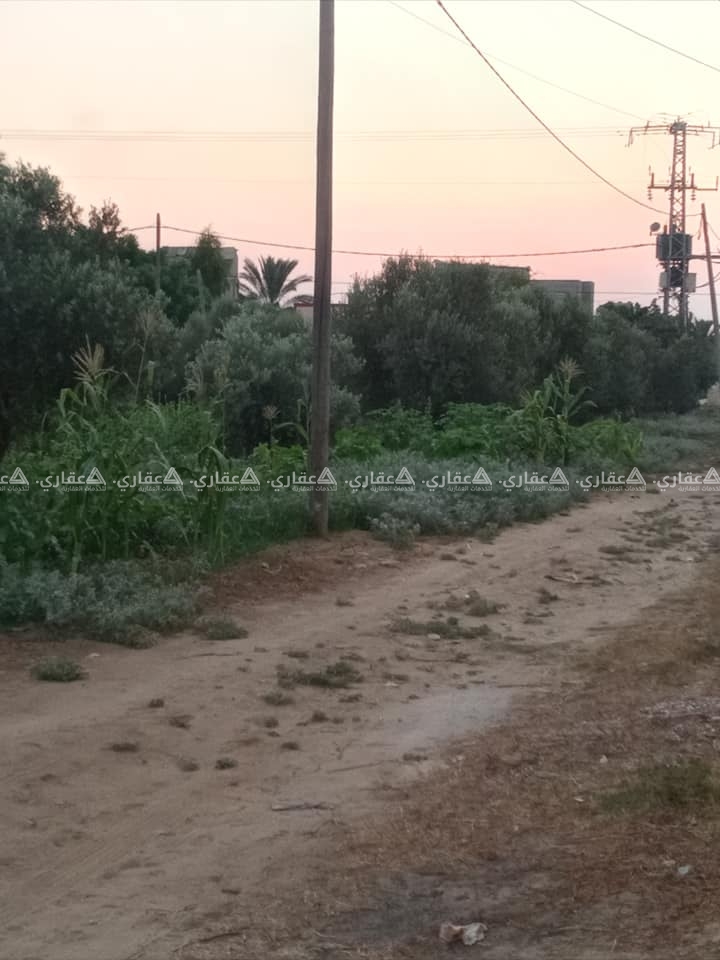 قطعةأرض للبيع مشجرة بالزيتون والفواكه