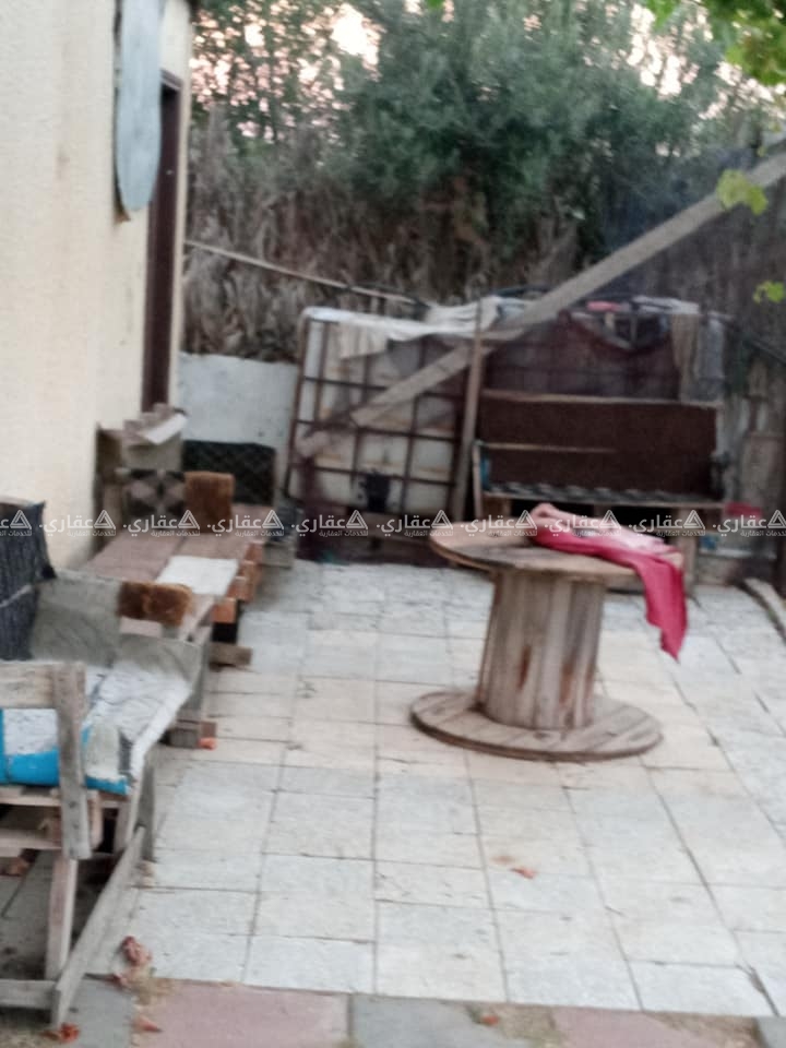 قطعةأرض للبيع مشجرة بالزيتون والفواكه