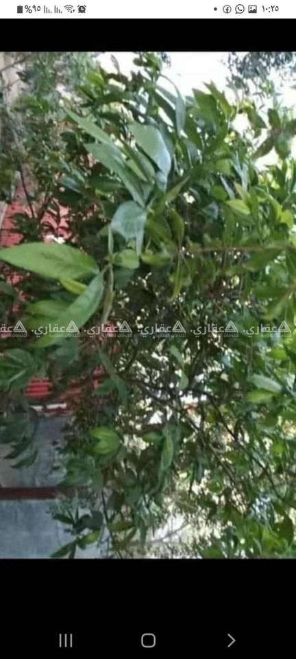قطعة أرض للبيع 
