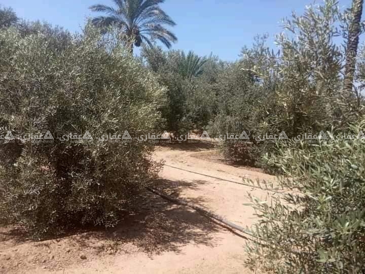 أرض للبيع فيها منزل
