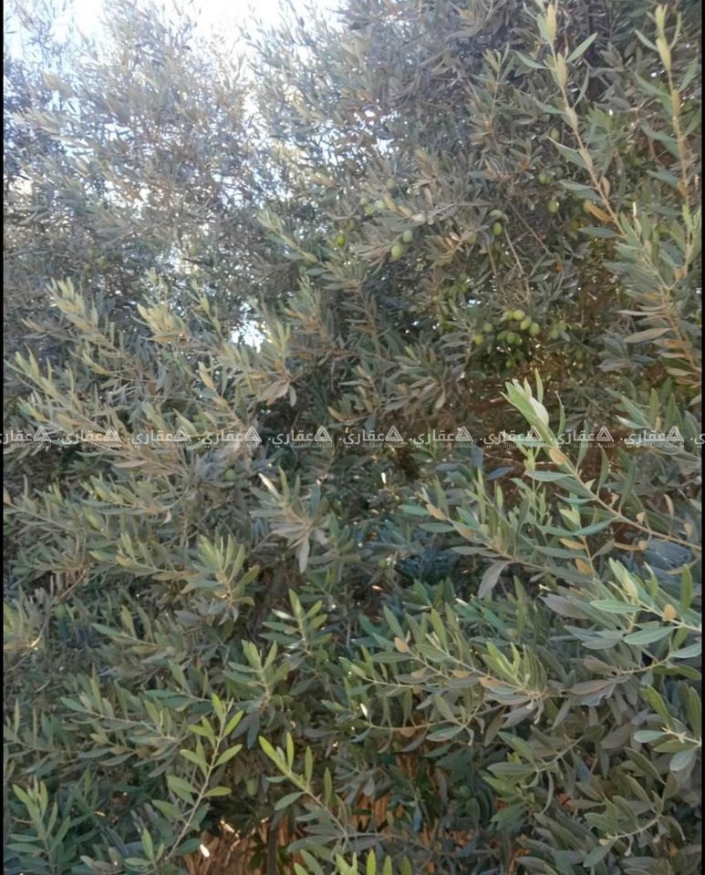 ‎قطعة أرض للبيع