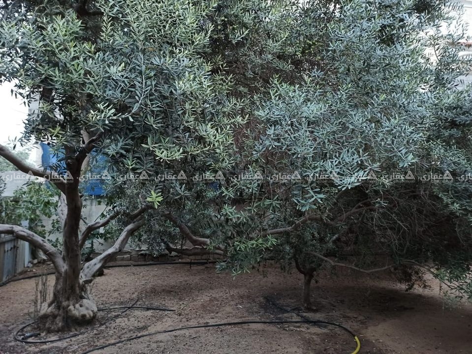 قطعة أرض للبيع