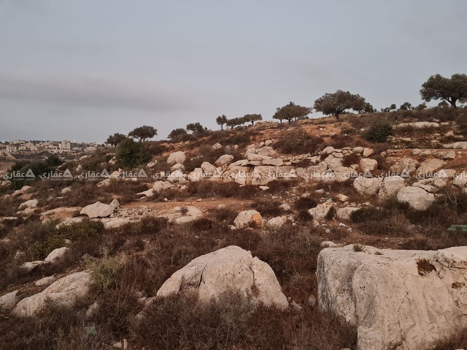  قطعة أرض في المزرعة الغربية  غير مفروزة