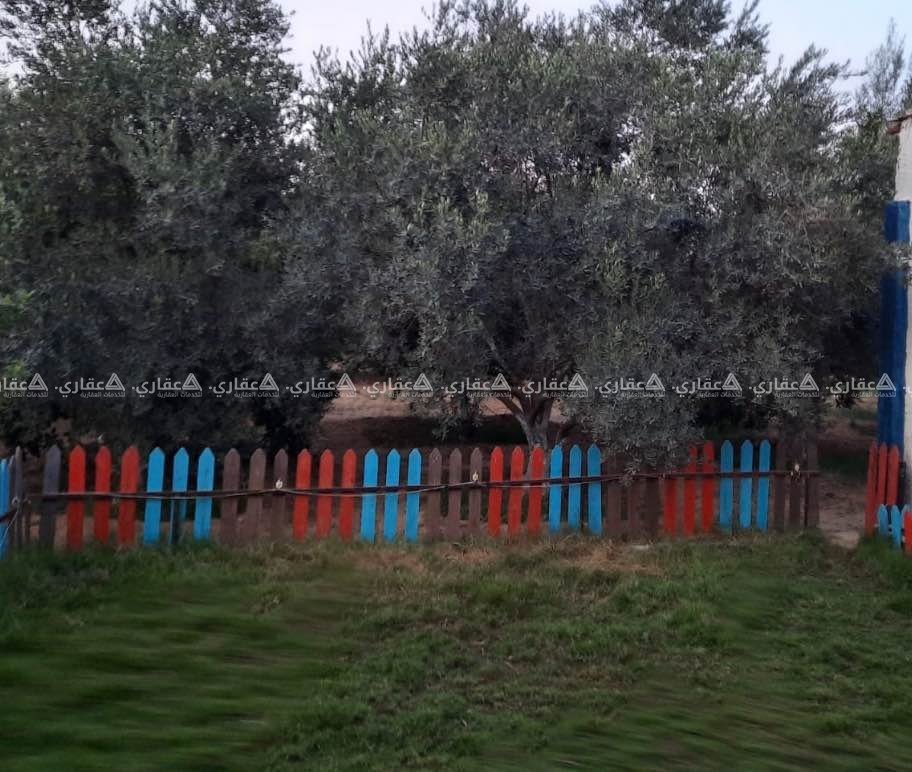قطعة أرض للبيع