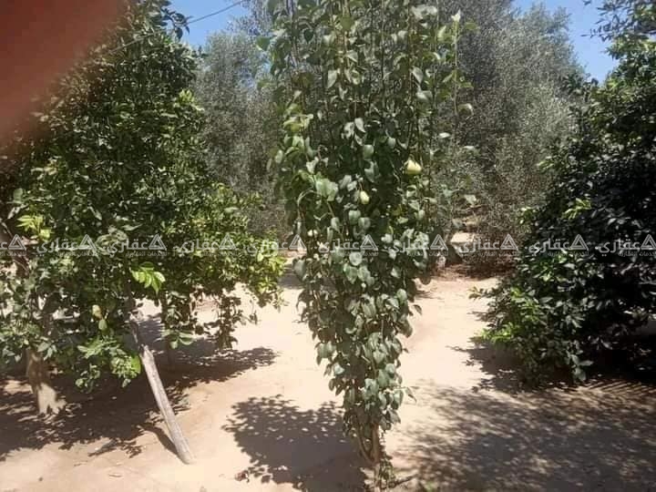 أرض للبيع فيها منزل