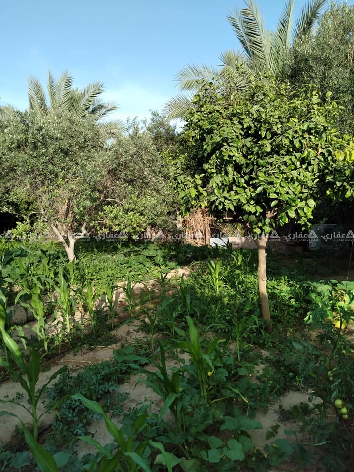 قطعة أرض للبيع جنوب مسجد دار السلام