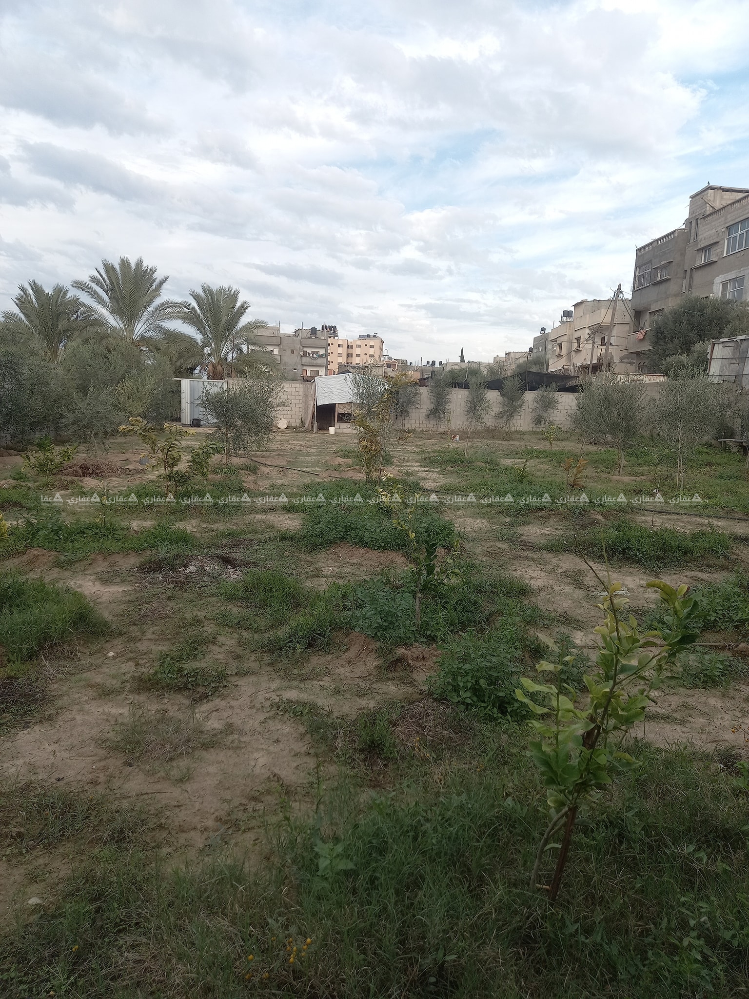 قطعة أرض في اول الزوايدة