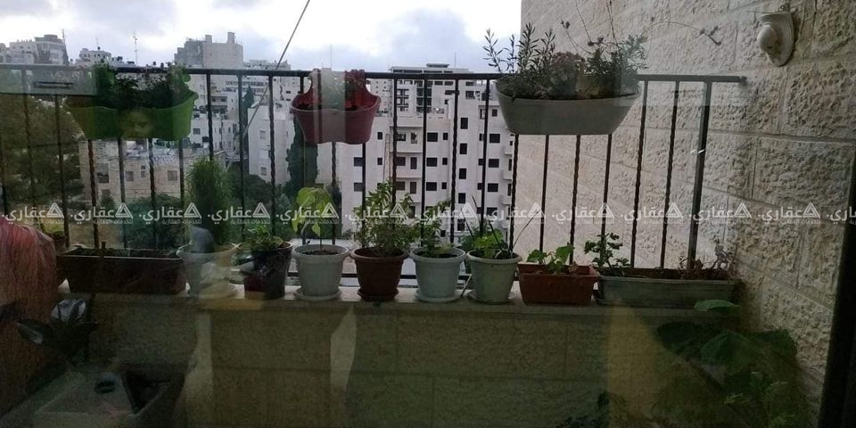 شقة للبيع مقابل مختبرات الصحة المركزية