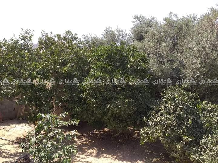 منزل للبيع بالقرب  من مسجد عائشة