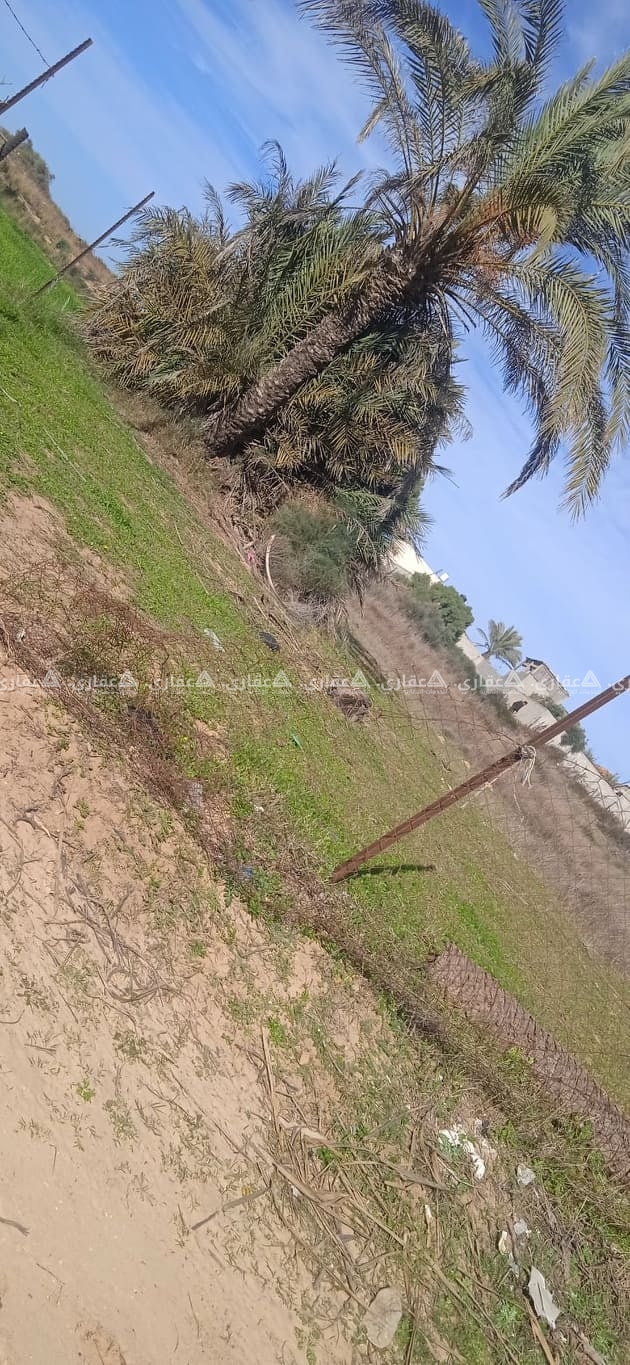دونم شرق محطة البترول المصدر