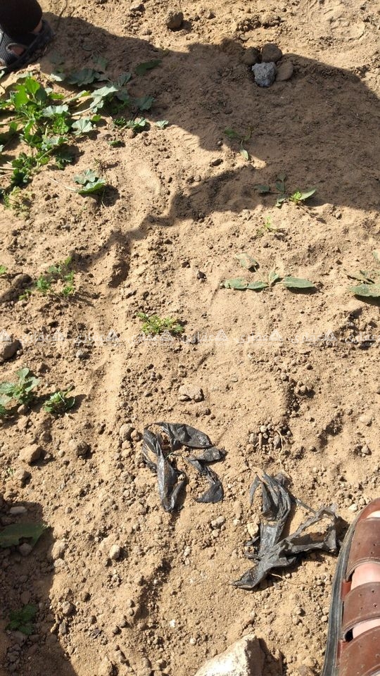 قطعة أرض للبيع خلف محطة النعيم 