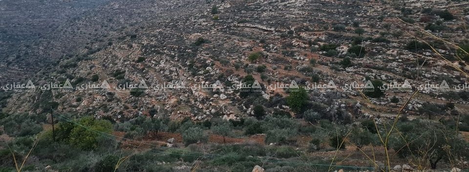 قطعة أرض مقابل روابي