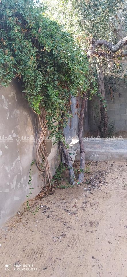 بيت للبيع في المغراقه