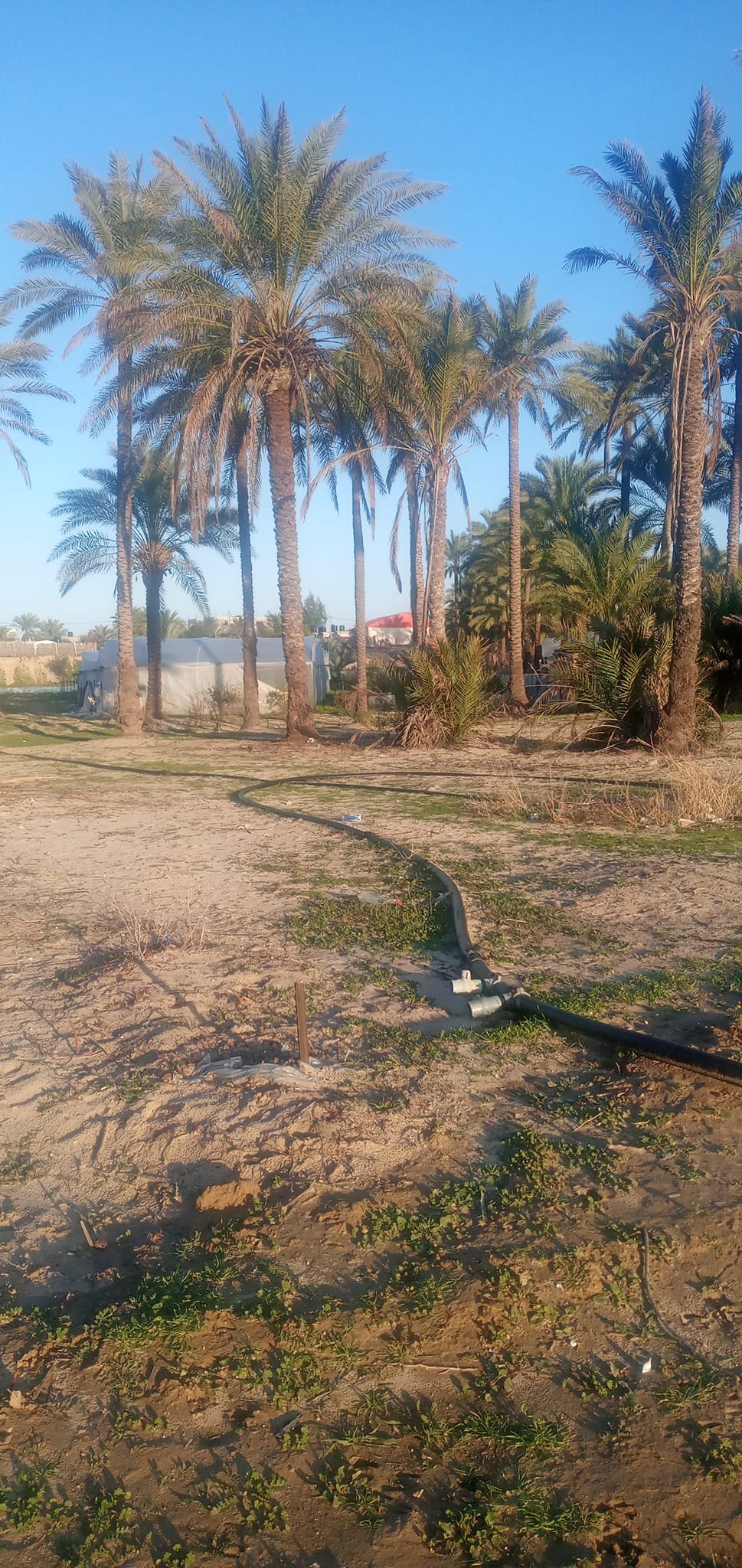 بيت للبيع في السطر الغربي 