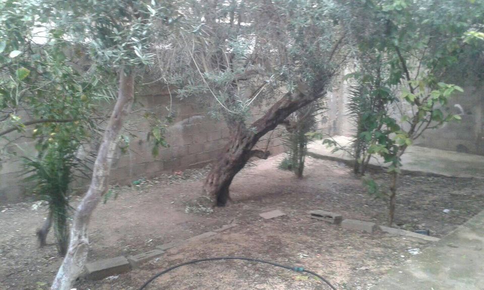 منزل حديث البناء للبيع مقابل مدرسة دار الارقم