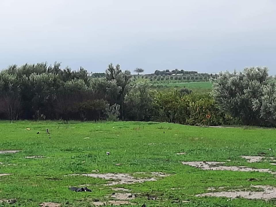 قطعة أرض للبيع في أروع مناطق جحر الديك 