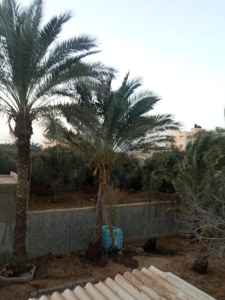 قطعة أرض بموقع مميز للبيع 