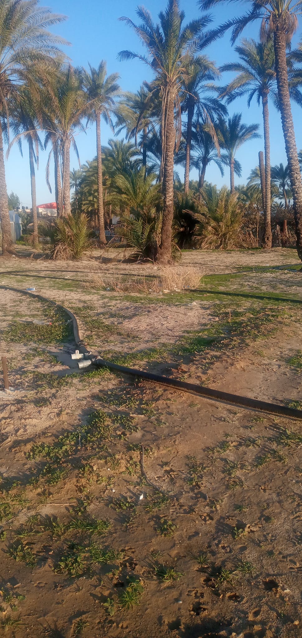 بيت للبيع في السطر الغربي 