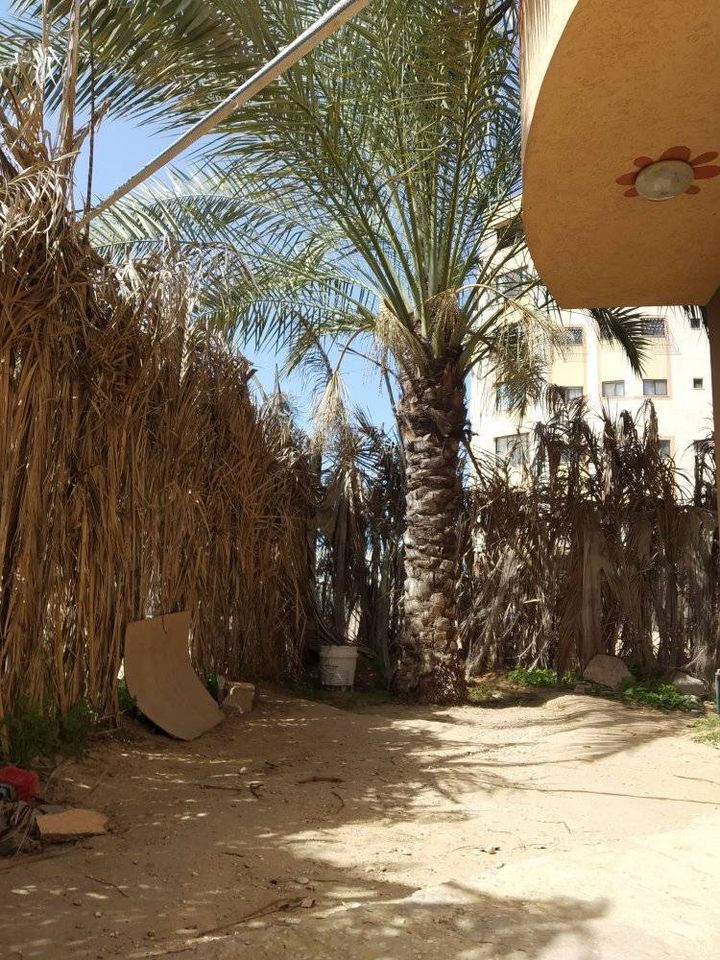 بيت للبيع غرب جامعة غزة