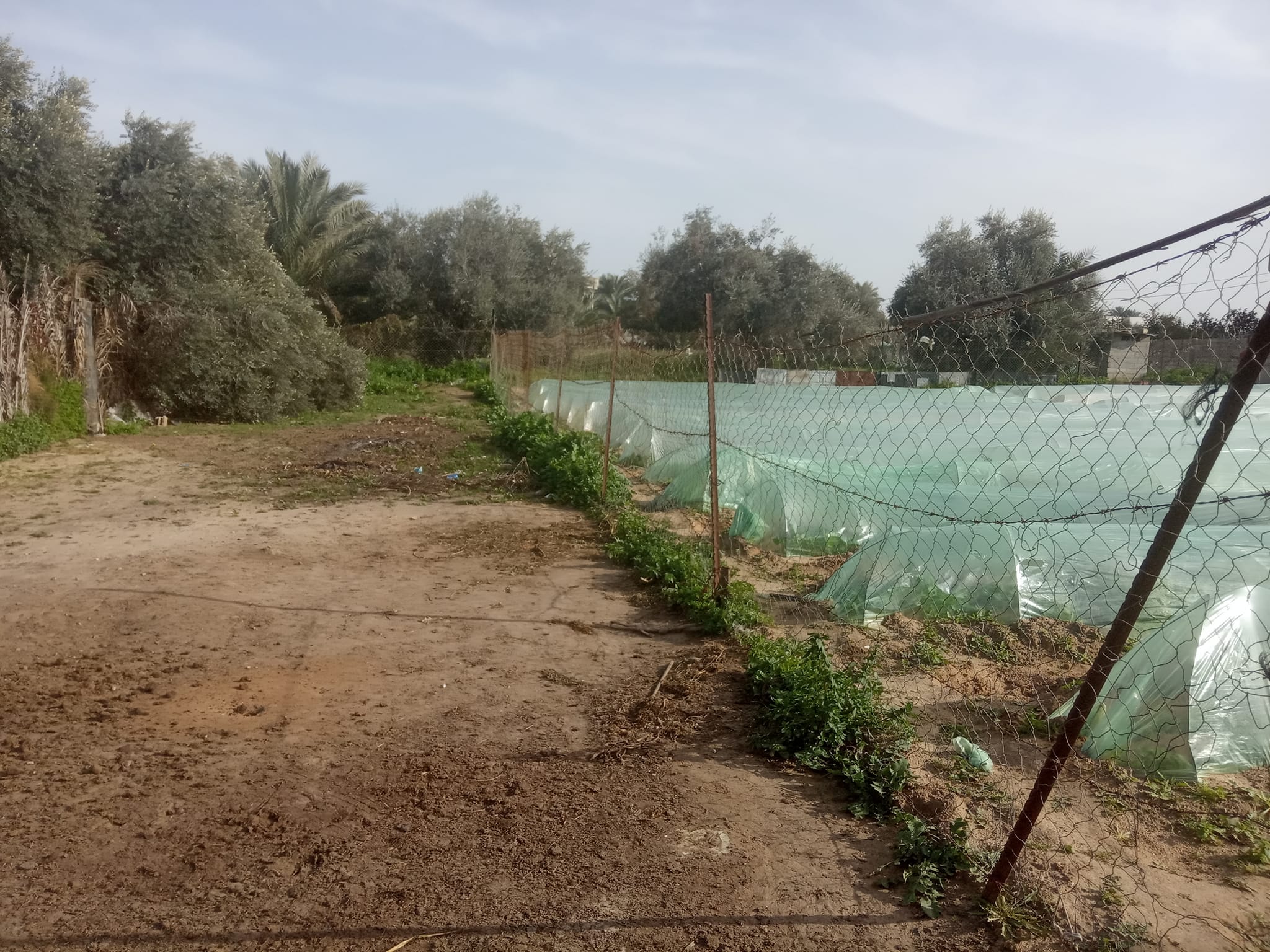 قطعة أرض بالقرب من مدارس القرارة 