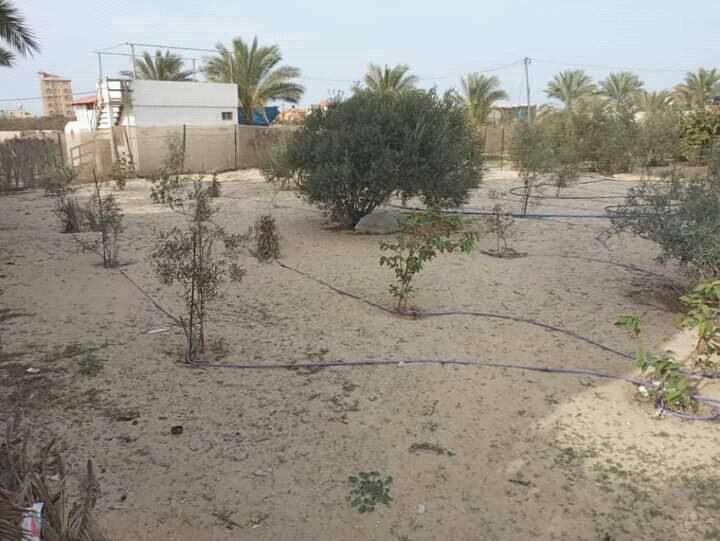 قطعة أرض ممتازة للبيع
