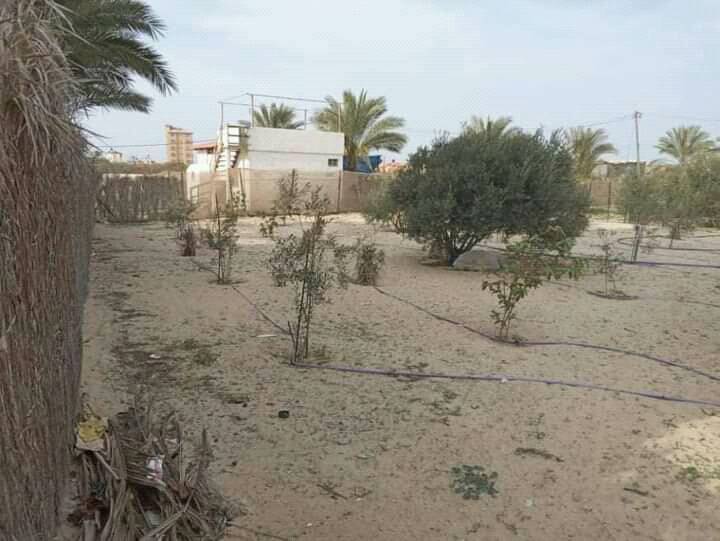 قطعة أرض ممتازة للبيع