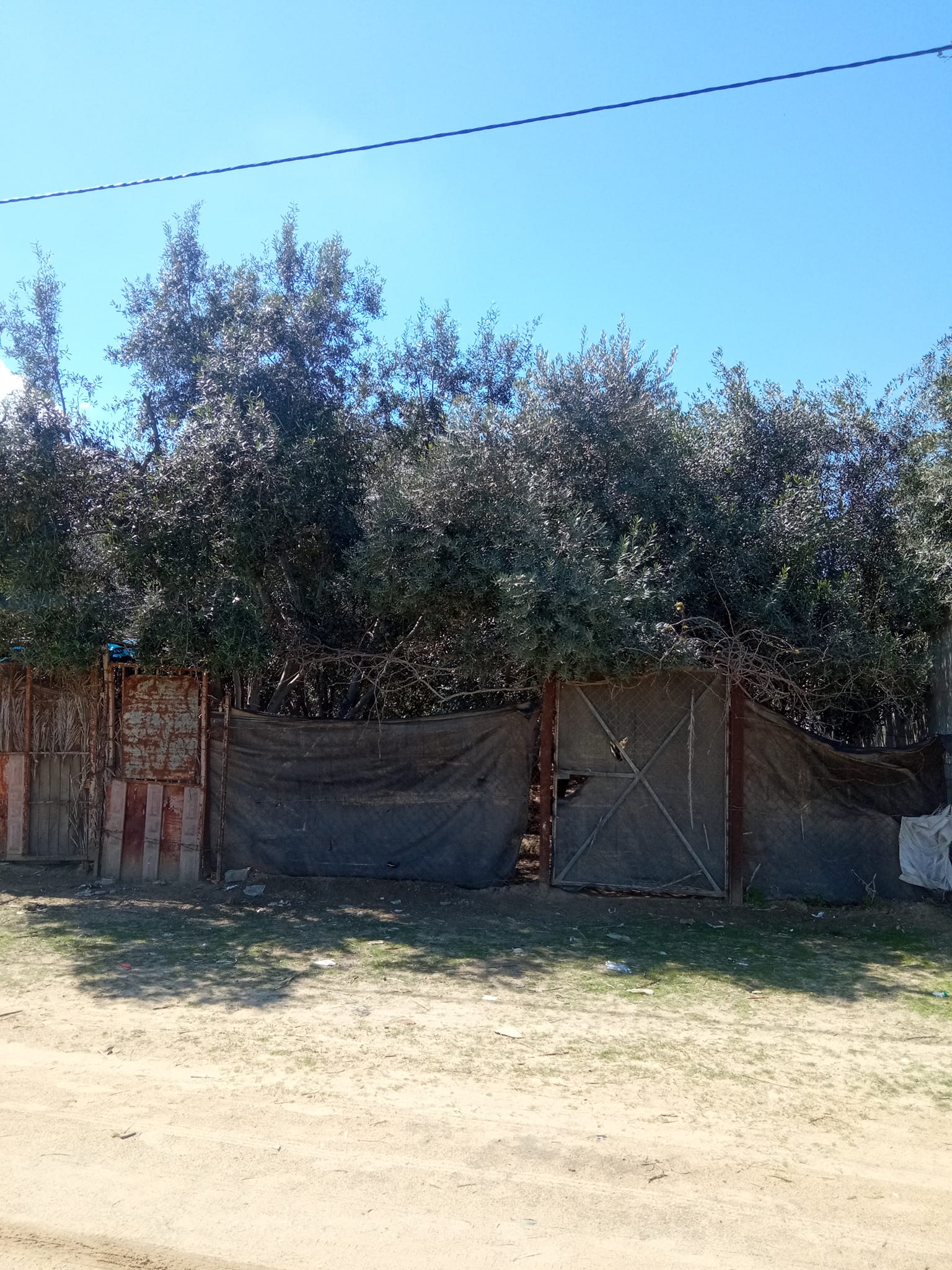 قطعه أرض للبيع