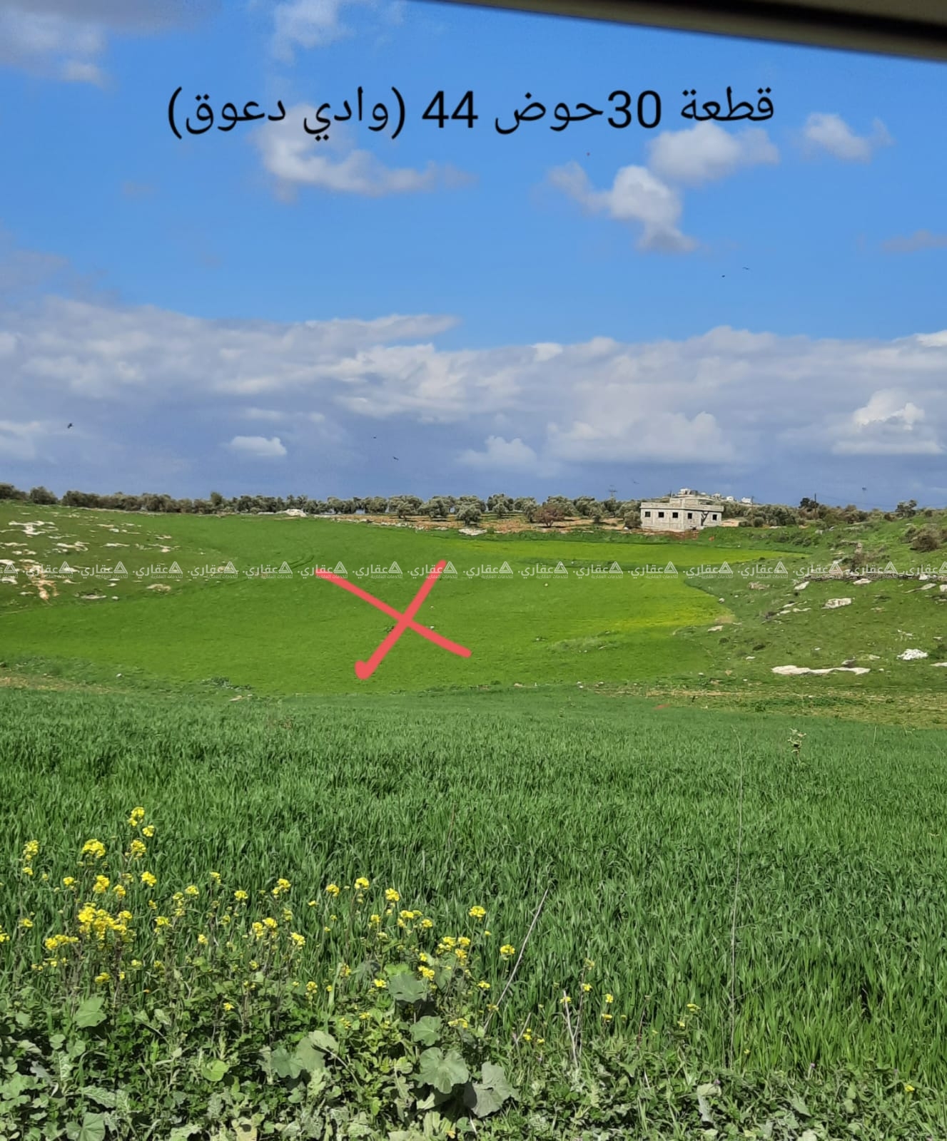 قطع اراضي من ارضي عنزا وعرابة جنين فلسطين
