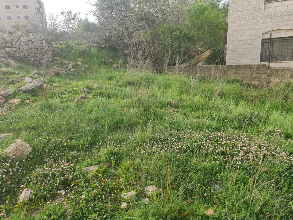 قطعة أرض للبيع في بيتونيا