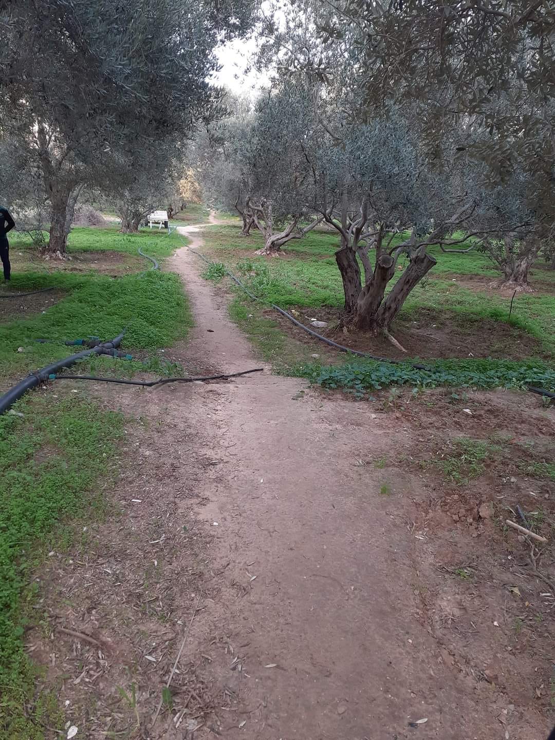 دولمين أرض للبيع 