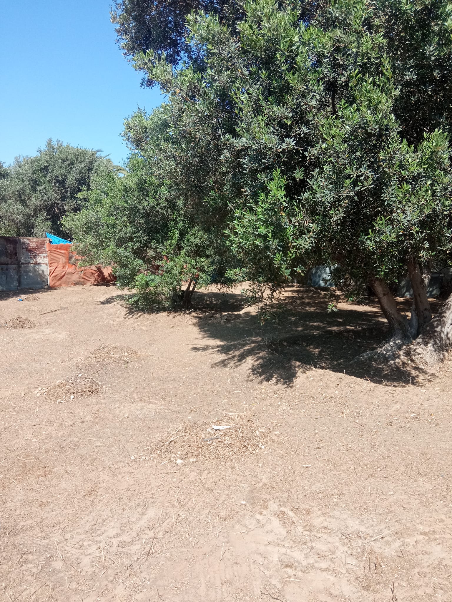 قطعة أرض للبيع