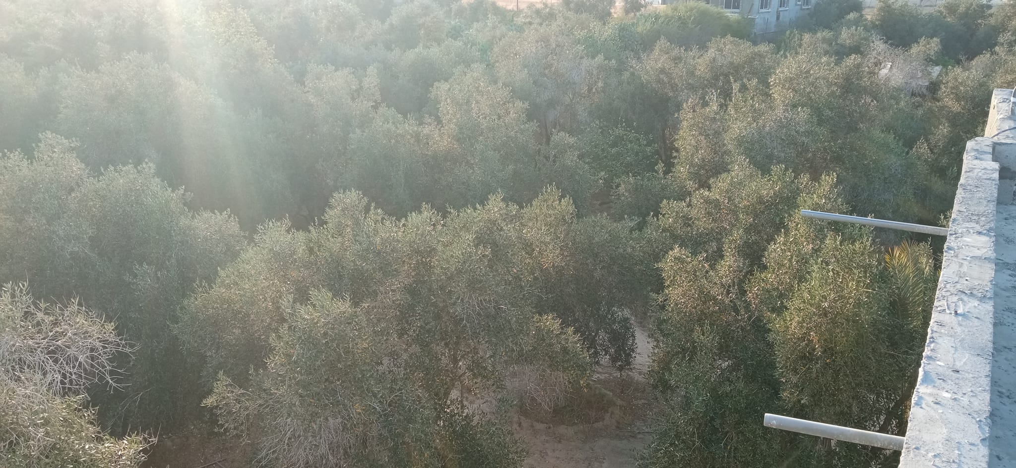 أرض للبيع  مع بيت باطون للبيع