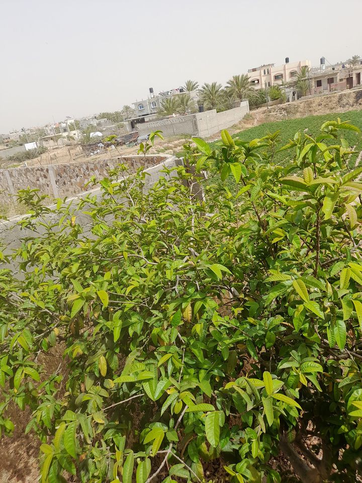فيلا للبيع غرب محطة العطار 