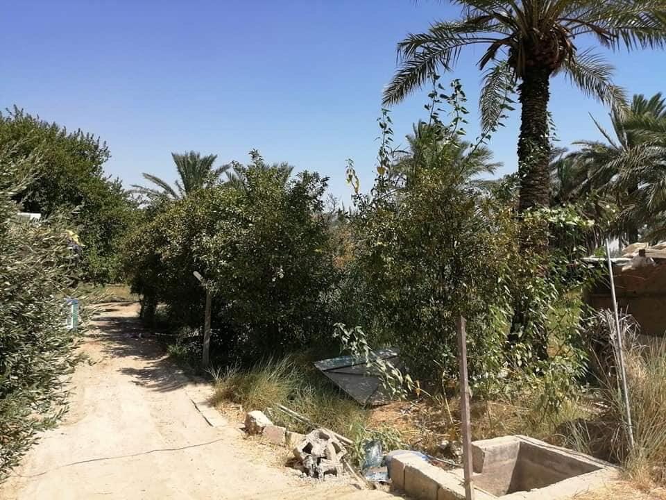 قطعة أرض يوجد بها منزل  باطون قديم