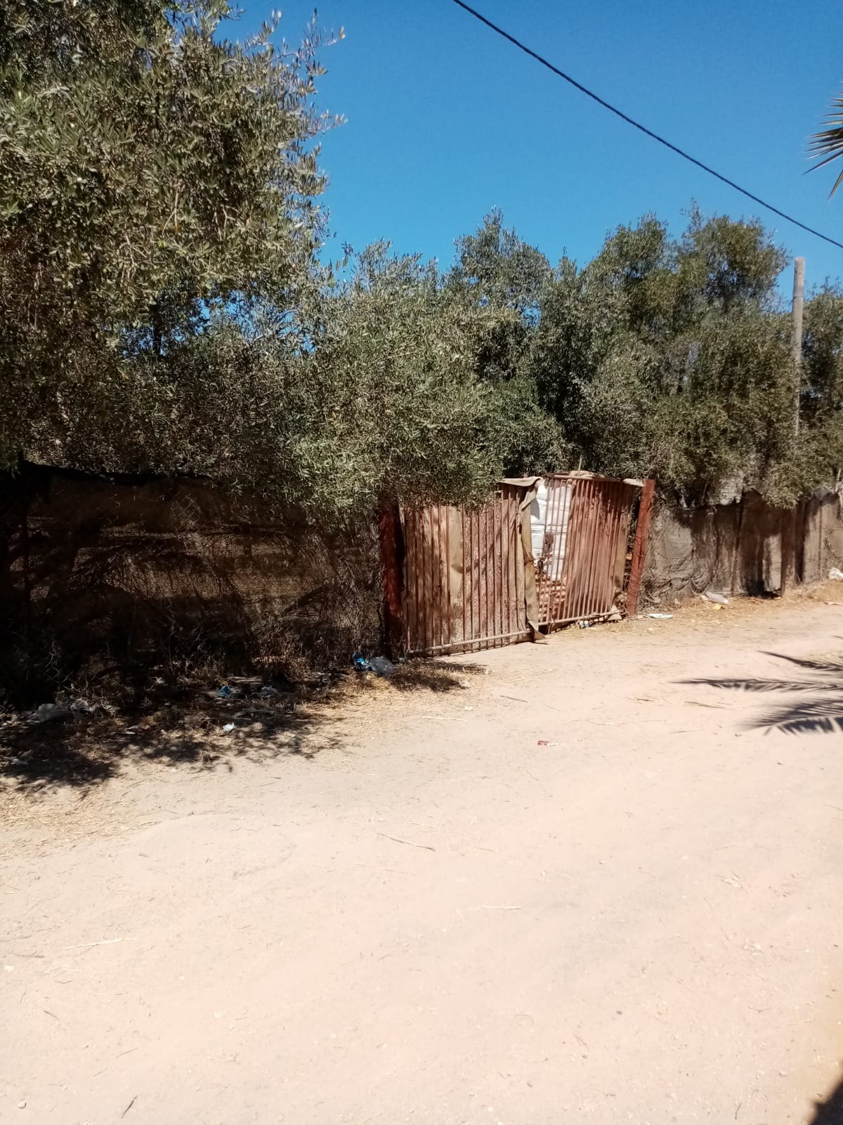 قطعة أرض قريبه من البحر