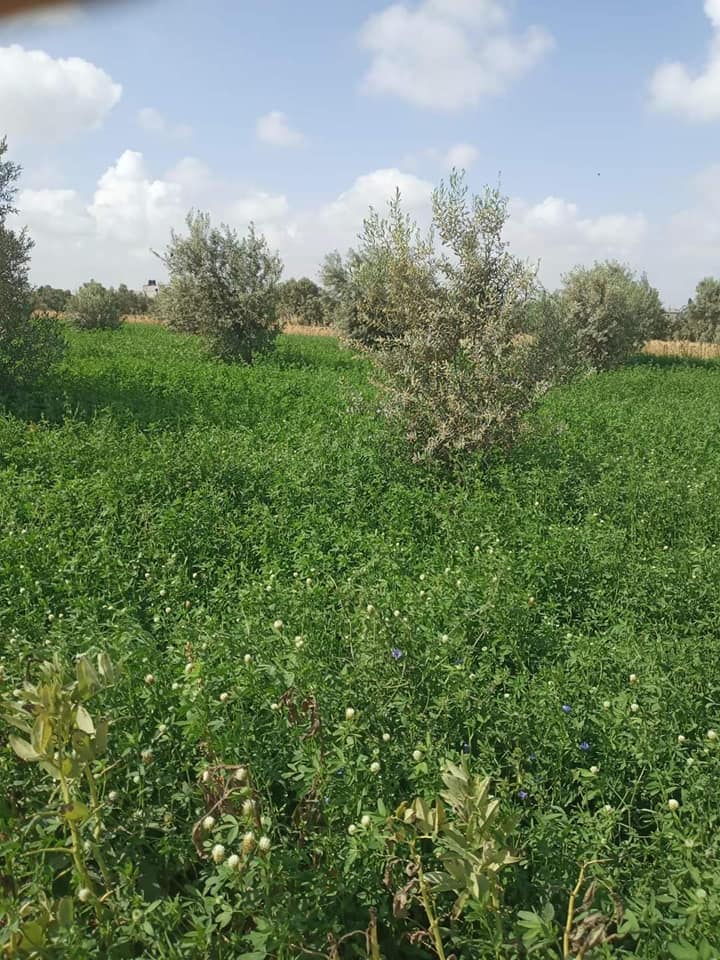 قطعة أرض طابو للبيع