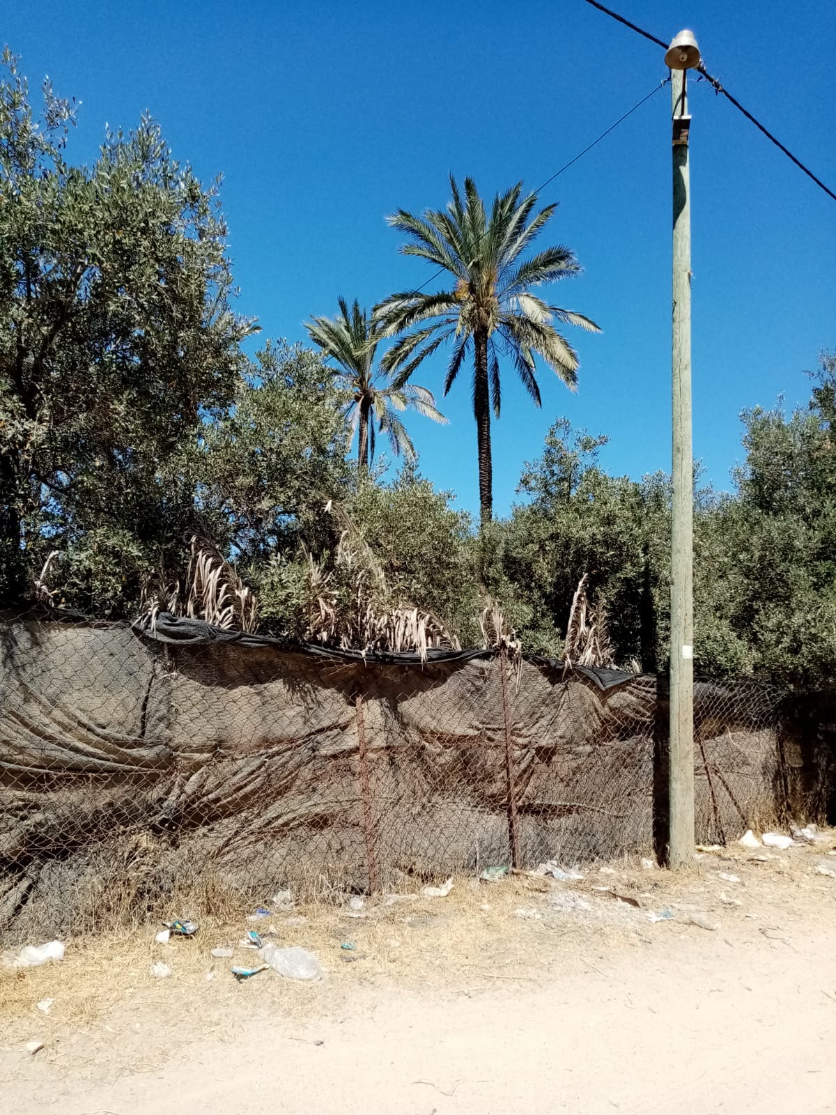 قطعة أرض قريبه من البحر