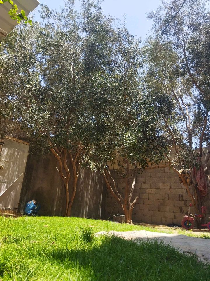 منزل حديث البناء بالقرب من المستوصف 