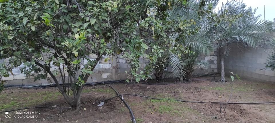 قطعة أرض بالقرب من مسجد إحياء السنة 