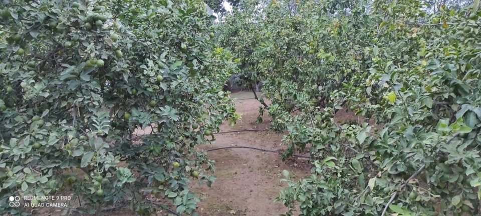 قطعة أرض بالقرب من مسجد إحياء السنة 