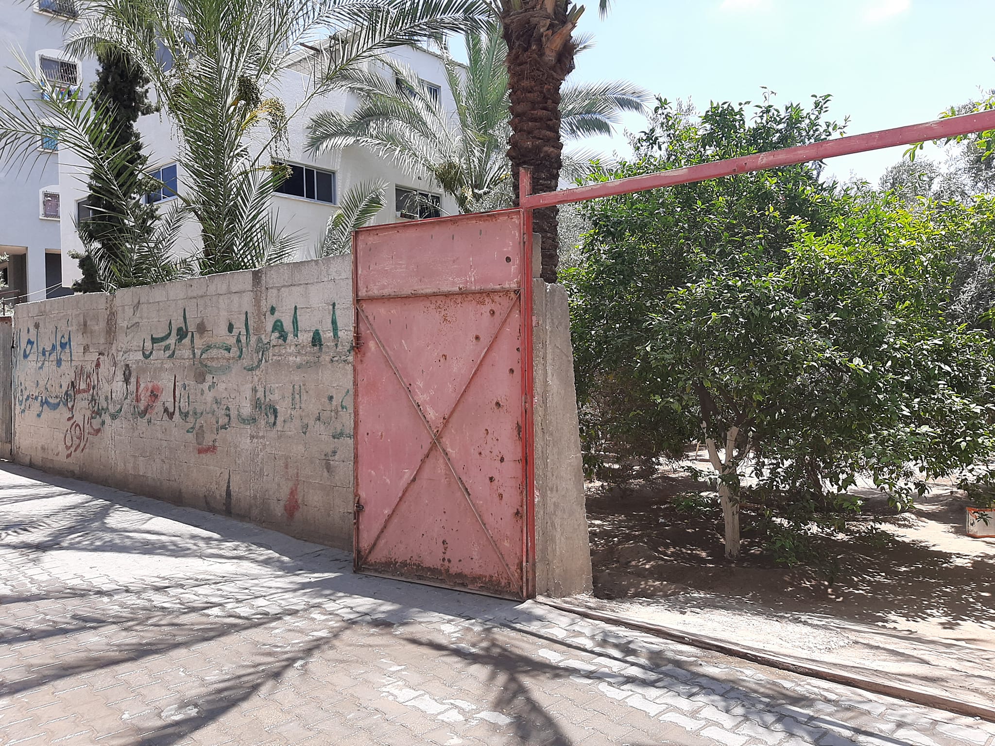 أرض مشجرة للبيع