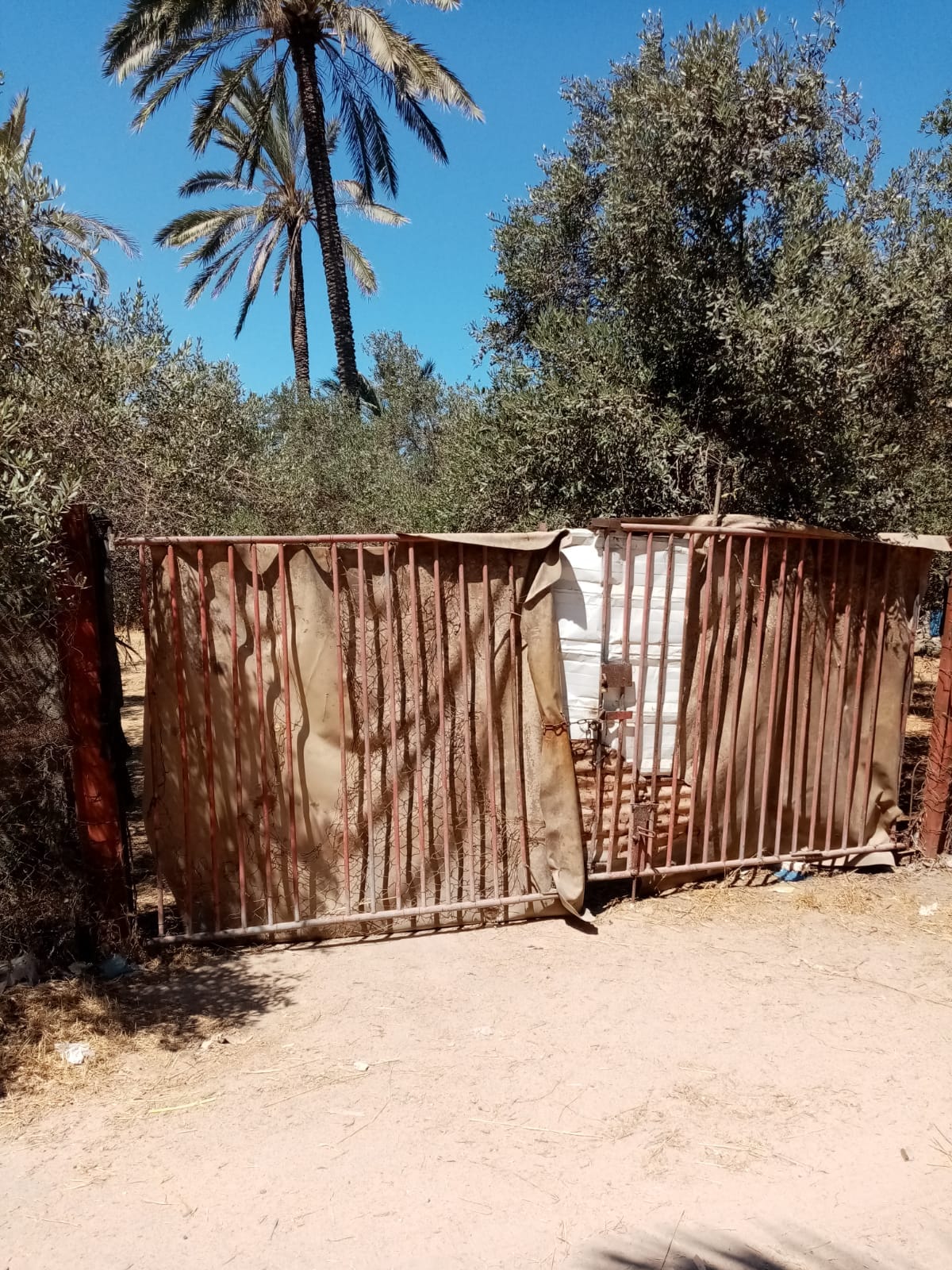 قطعة أرض قريبه من البحر