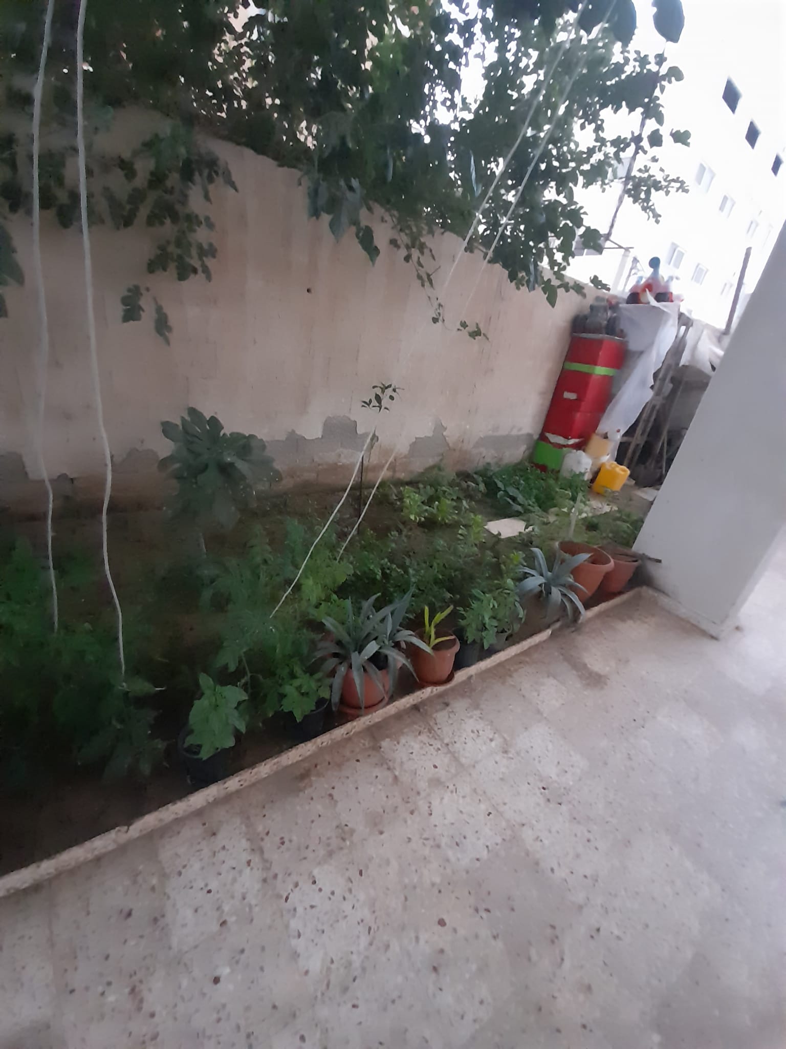 منزل للبيع امتداد شارع البحر