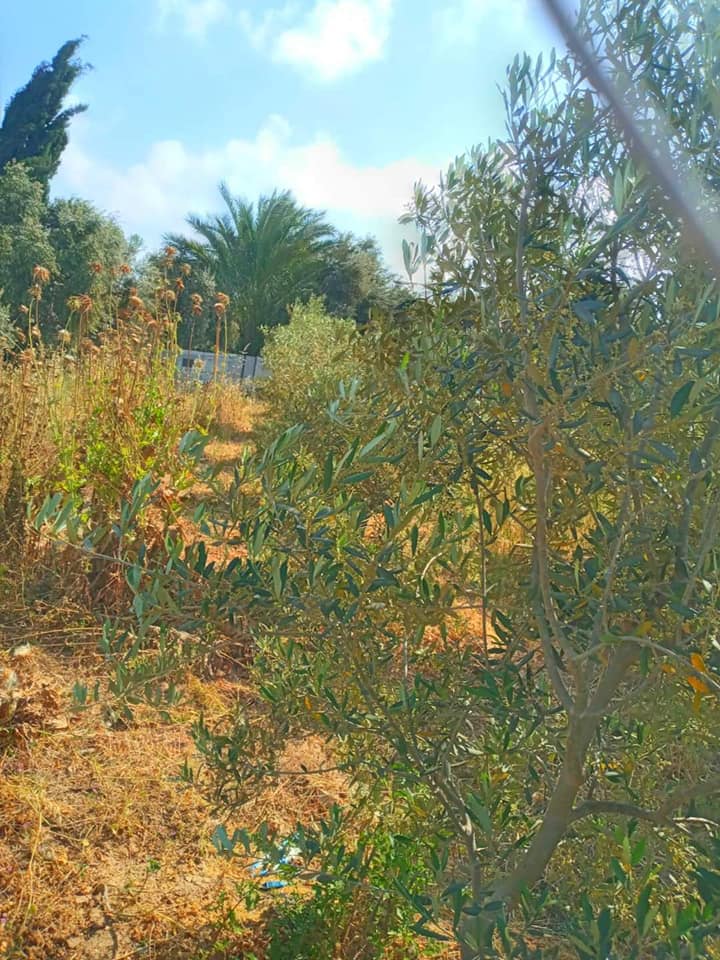 قطعة أرض طابو للبيع